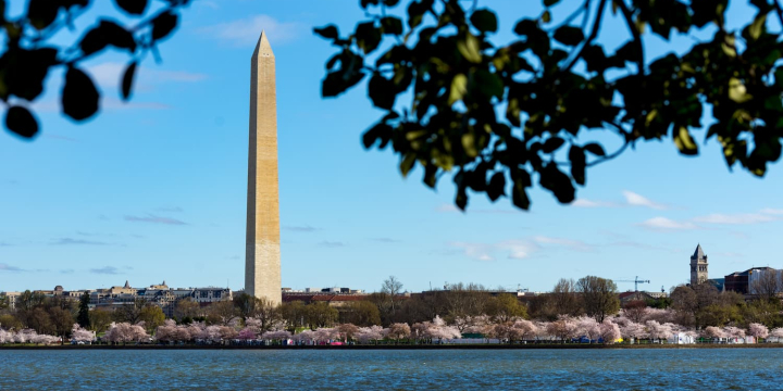 Things to Know Before Moving to D.C. in 2024