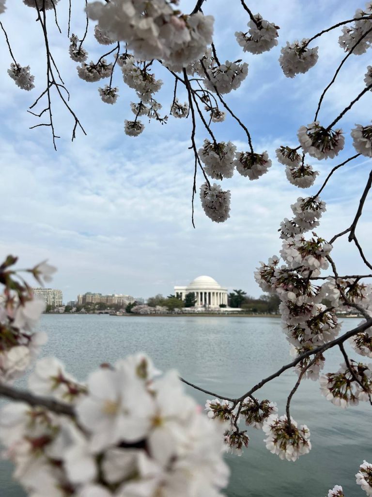 How to Find a Roommate in DC | Guide