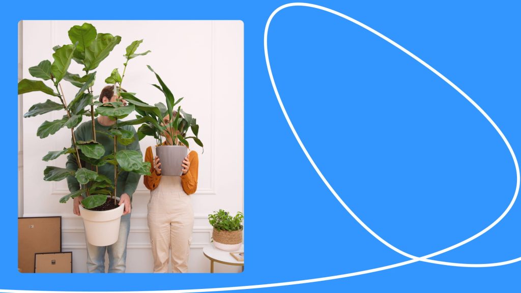 How to Pack Plants for Moving